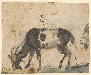Study of Goats by Lucas Cranach the Elder Study of Goats by Lucas Cranach the Elder
